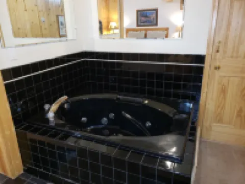 더 윌러드 멍거 인