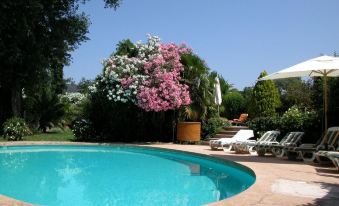 L'Amandari - Chambres d'hôtes