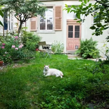 Gästezimmer Plänke