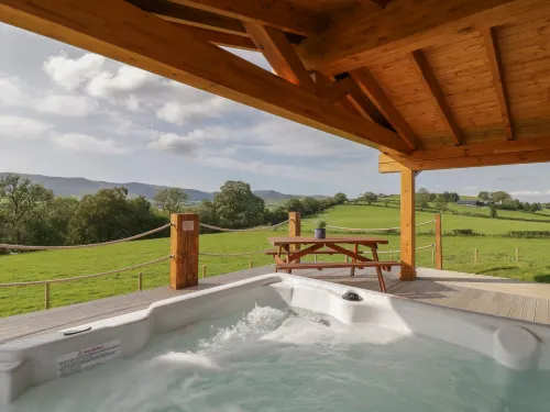 Bryn Eiddon Log Cabin - Homestays
