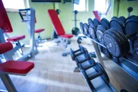 Retro Hotel Villa Ostrava - Gym
