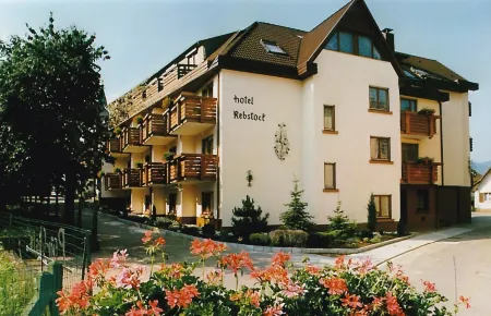 Hotel Rebstock Отели в г. Генгенбах