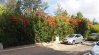 Barud Gedera Israel - parking