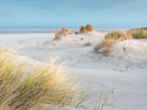 Fox Hotel the Hague Scheveningen Hoteles en Scheveningen