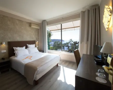 Hotel de Charme Regency Hotels in Roquebrune-Cap-Martin