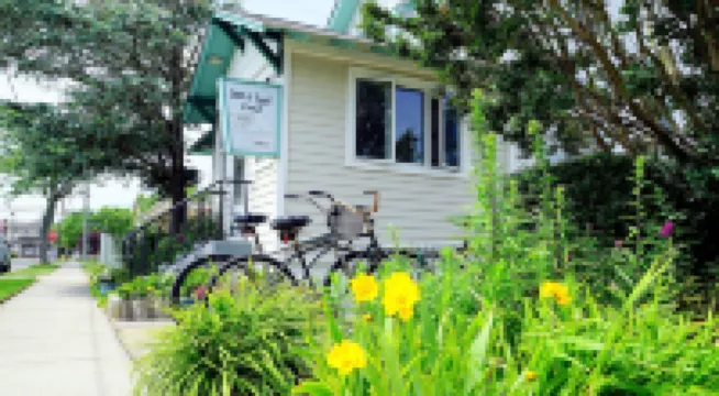 Sun 'N' Sand Motel Hotels in Stone Harbor