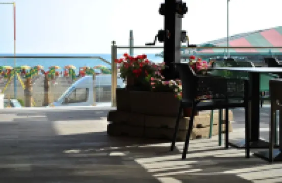 Hotel Frojd - Beach Front Resort