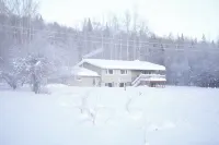 Watch the Northern Lights from the Deck and the Jacuzzi! Roast by a Cozy Fire! Hotels near Fairbanks Golf Course