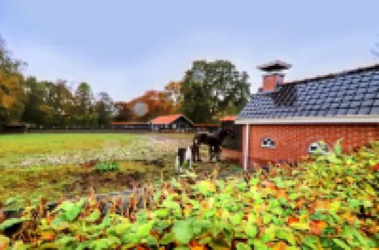 Apartment in Kornhorn Near Curringherveld Hotels in 