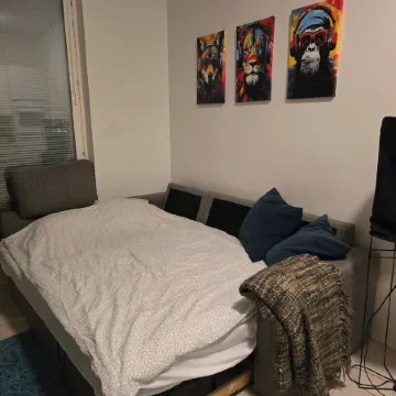 Helsinki City or Airport 16min, Convenience Place