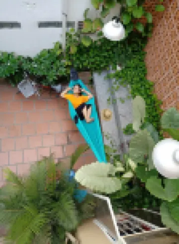 峴港城市青年旅館