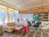 Moustache Shoja, Jibhi