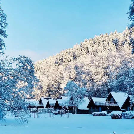 Cottage Famille - Family Resort With Wellness in the Heart of the Ardennes