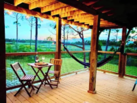 Hooked on Bayou? Waterfront! Kayaks, Fishing, Dock, Overlooking Bayou & Gulf! Hotels in Carrabelle