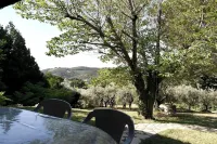 Countryside house located in an olive grove, very quiet, wonderful scenery