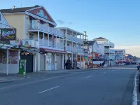 Beach Bum Hideaway - Cozy studio condo with full kitchen. 400 ft to the beach! - Bungalows