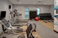 Hilton Garden Inn Kansas City/Kansas - gimnasio