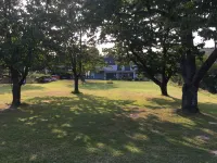 Oasis of calm in the cherry blossom valley