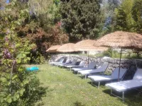 Domaine des Petites Soeurs 800m from the historic center with 5200m2 of wooded parkland Hotels in Vence