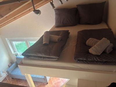 Cozy apartment directly on the Rhine