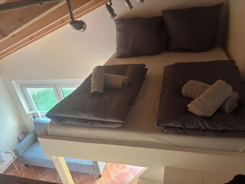 Cozy apartment directly on the Rhine