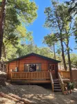 Cozy 2-bedroom Cedar cabin in charming Sequoia National Park with WiFi
