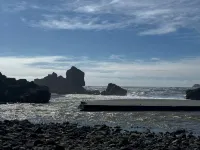 Beautiful Ocean View Apartment by Moonstone Beach