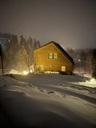 Peaceful 2-bedroom apartment - dogs welcome