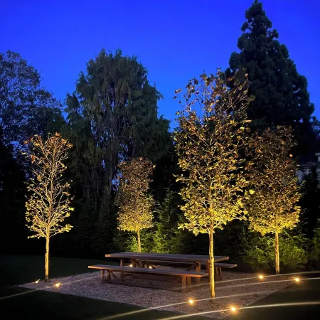 Amagansett Village Beautifully Restored Farm House & Studio with Pool