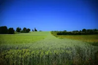 Bosso di Sopra - Mugello Tuscany Hotels in Borgo San Lorenzo