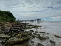 Vacation home with garden, near north beach and carrelets 5 min walk. Hotels in Fouras