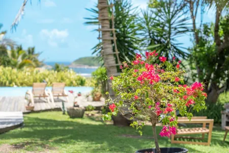 Villa Yucca vue mer Avec Piscine Privée