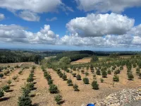 The Silver Ridge House Near Silver Falls State Park