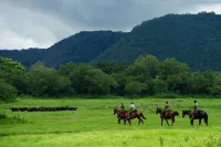 Sero Safaris Hostel - Ostelli