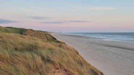 Spacious & bright new villa in forest, close to downtown, golf courses and beach Отели рядом с достопримечательностью «Caravaning Stoneham - Touquet & Co»