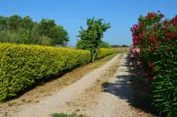 아그리알베르고 카팔비오