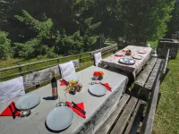 Cozy Bellamonte Stay | Sauna Hotels in Bellamonte