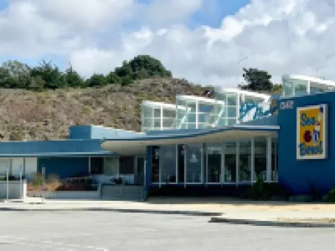 Stunning Ocean Mountain View Near SF/SFO/Beaches