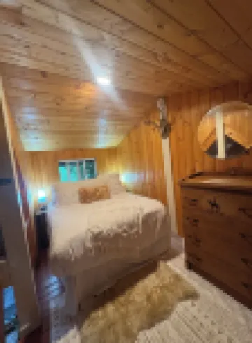 Cozy Tiny Cabin with RIVER VIEWS! Sleeps 3, hot tub, wood stove, fire pit!