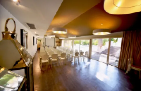 德拉維爾酒店 里喬內酒店