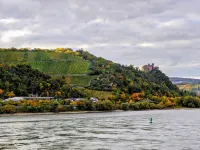 Bacharach Old Town – Rhein & Wein | up to 7 guest with castle view, near Loreley Hotels in Bacharach