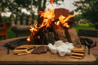 Lakefront Hilltop Cabin Hot tub Firepit - 3-Star