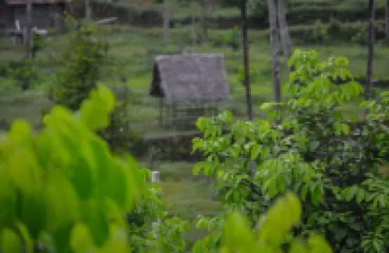 Into the Roots Farm Stay