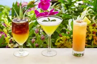 Ho Olei at Grand Wailea - 5-Star