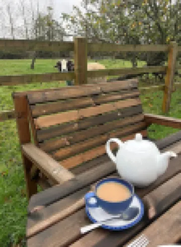 Beautiful One Bed Studio (dog friendly)