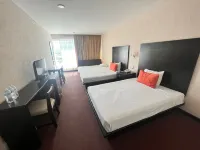 Hotel Vista Inn Premium - 3-Sterne