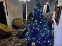 Mountain Retreat in Kakopetria, Cyprus - Perfect for Families Hotels in Kakopetria