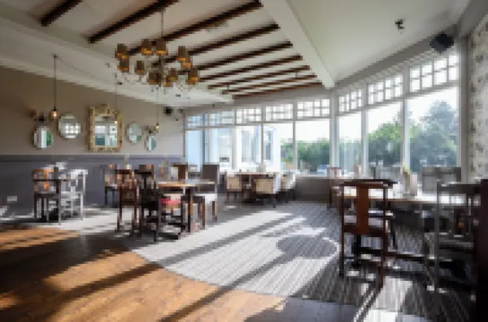 White Rabbit by Chef & Brewer Collection