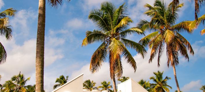 Hotel d'Anatureza Hotel di Maceió