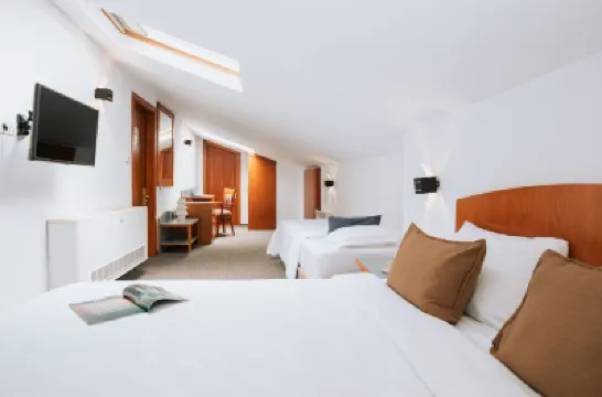 Hotel Duke Romana City Center Hotels in Bucharest City Center